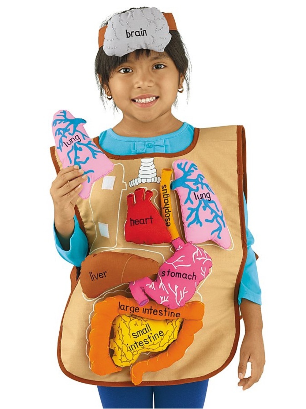 Lakeshore Kids Anatomical Apron, what’s inside me?